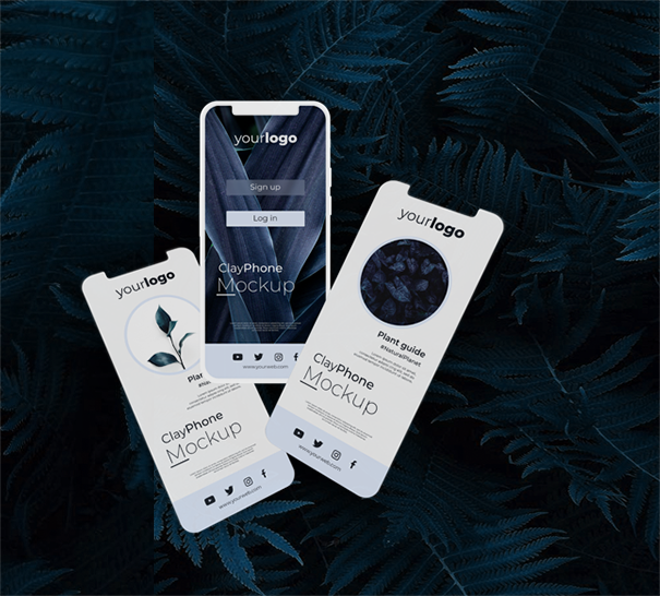 About Project