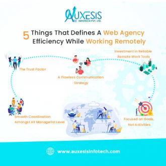 Which Web Agency Is The Most Efficient While Working Remotely?