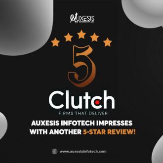 Auxesis Infotech Impresses With Another 5-Star Review!
