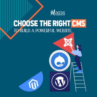 Which Content Management System Is Apt For Your Business: Make A Choice!
