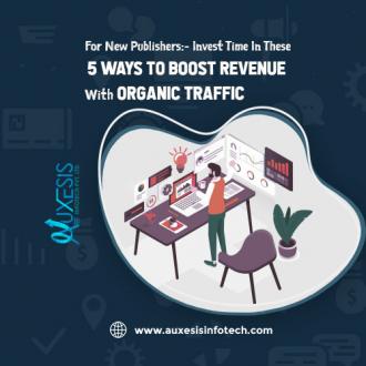 Strategies How New Publishers Can Boost Revenue With Organic Traffic