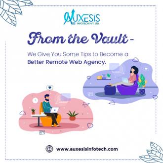 Lessons that Made Auxesis Infotech a Better Remote Web Agency
