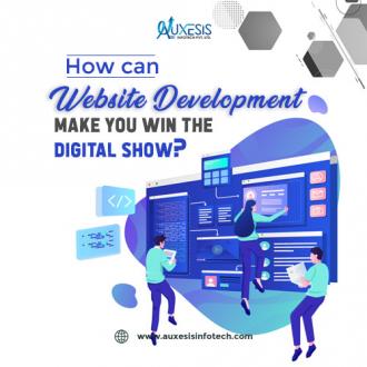 How can website development make you win the digital show?