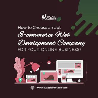 How to Choose an Apt E-commerce Web Development Company for your Online Business?
