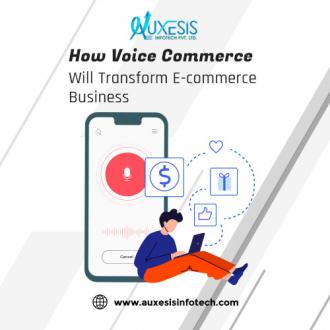 Voice Commerce – The Future of E-Commerce