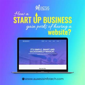How a startup business can gain the perks of having a website