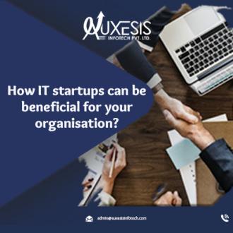 How IT startups can be beneficial for your organisation?