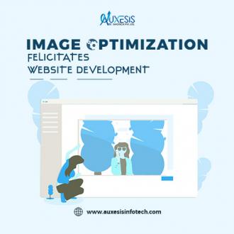 Image Optimization Felicitates Website Development