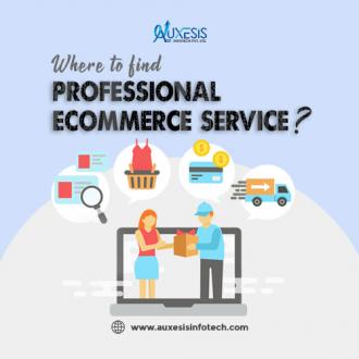 Where to Find Professional E-commerce Services?