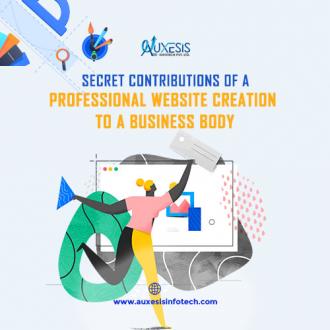 Secret Contributions of a Professional Website Creation to a Business Body