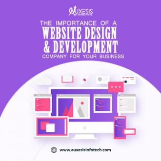 The Importance of A Website Design and Development Company for your Business