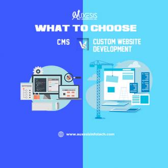 What to Choose - CMS or Custom Website Development?