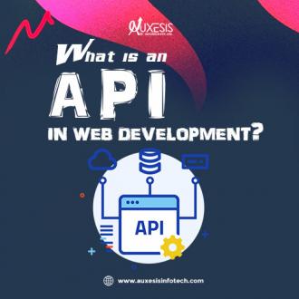 What is an API in Web Development?