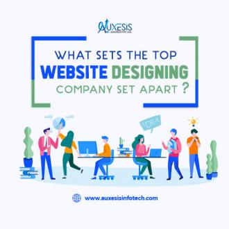 What sets the Top Website Designing Company Set Apart?