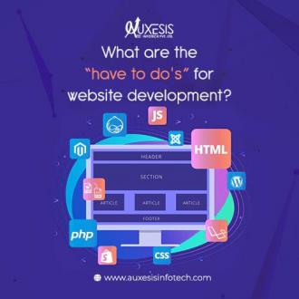 What are the “have to do's” for website development?
