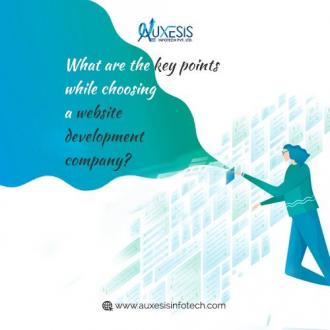 What are the key points while choosing a website development company