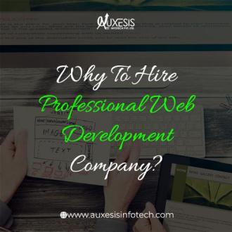 Hire a Professional Web Development Company