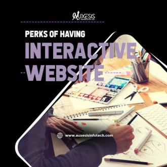 Perks of Having Interactive Website