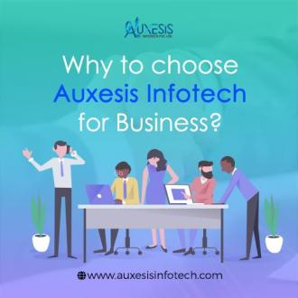Why to choose Auxesis Infotech for Business?