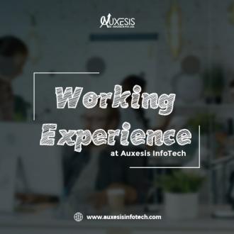 Working Experience at Auxesis Infotech