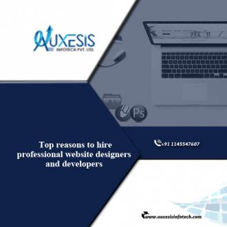 Top reasons to hire professional website designers and developers.