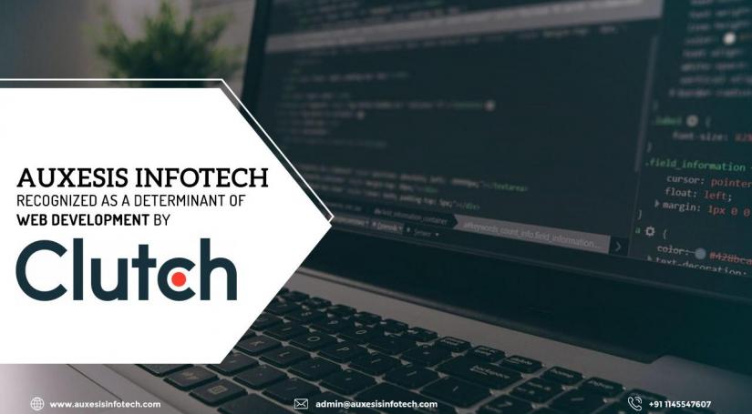 Auxesis-Infotech-Recognized-as-a-Determinant-of-Web-Development