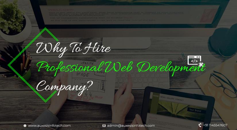 Hire a Professional Web Development Company
